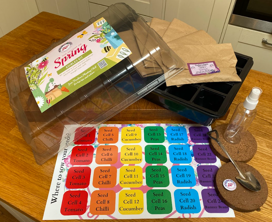 Advent of Spring Seed Kit