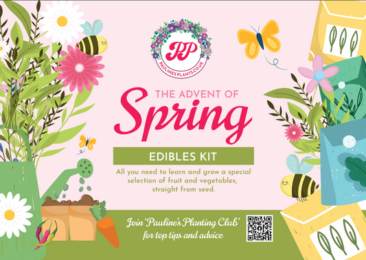 Advent of Spring seed kit - Edibles