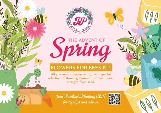 Advent of Spring Seed Kit - Flowers for Bees