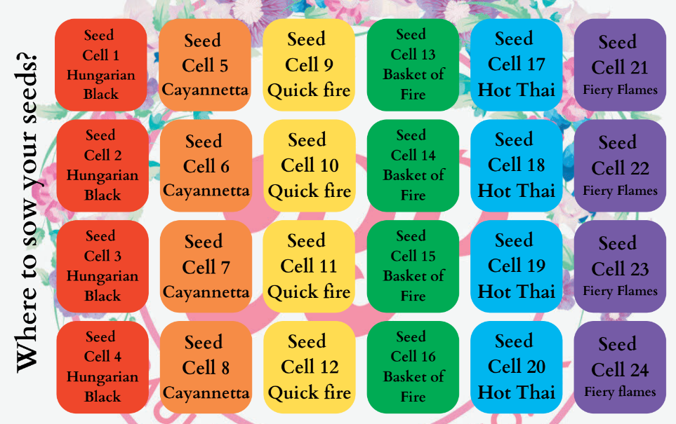 Advent of Spring seed growing kit - 6 Types of Chilli plants