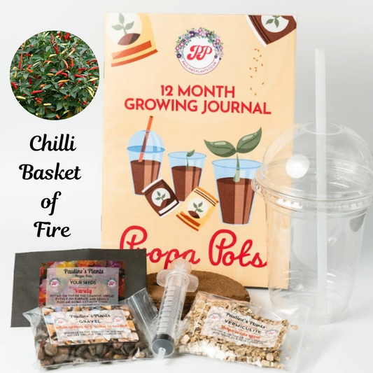 Propa-pot - Grow your own Basket of Fire Chilli plants - Great Christmas gifts