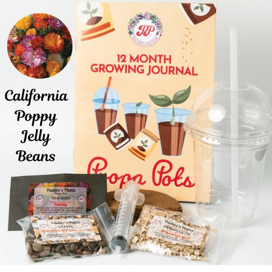 Propa-pot - Grow your own California Poppies (Jelly Beans) flowers for bees