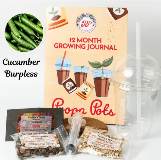 Propa-pot - Grow your own Cucumber plants - Christmas gift