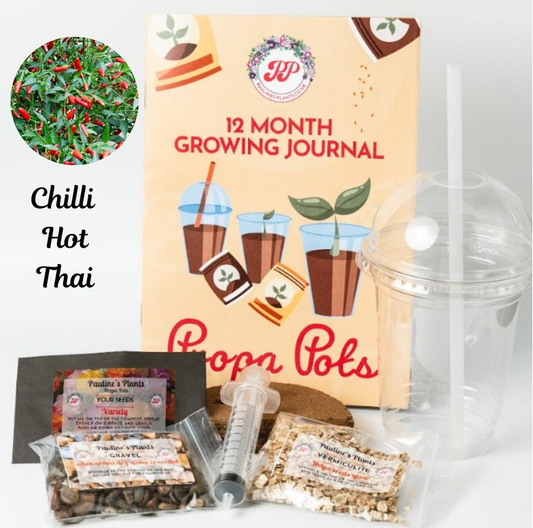 Propa-pot - Grow your own Hot Thai Chilli plants - Great Christmas gift