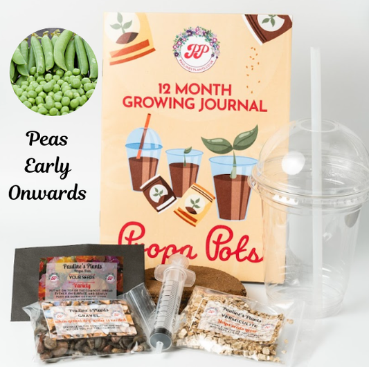 Propa-pot - Grow your own Pea plants - Great Christmas gift