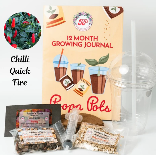 Propa-pot - Grow your own Quick Fire Chilli plants - Great Christmas gift