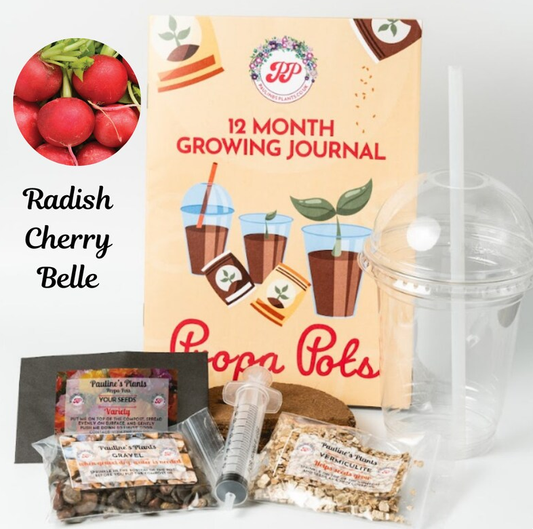 Propa-pot - Grow your own Radish - Great Christmas gift