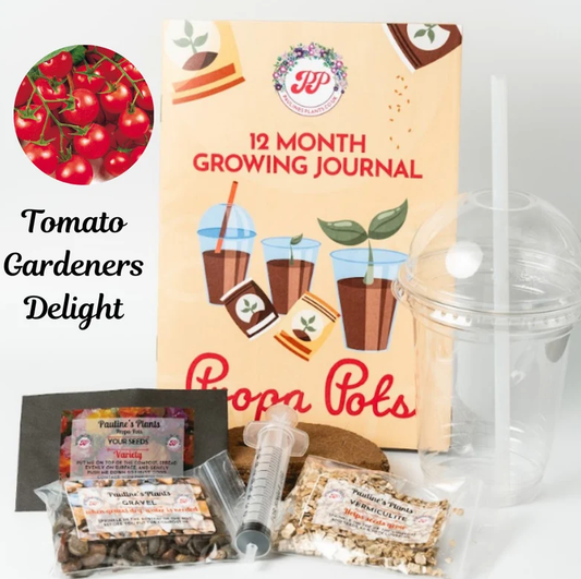 Propa-pot - Grow your own Tomatoes - Great Christmas gift